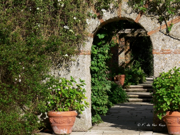 Bois des Moutiers (166) Mai 2012